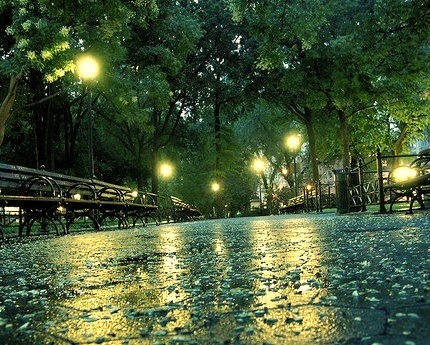 Rainy Night, New York City