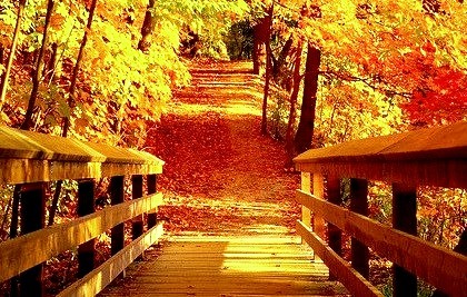 Autumn Bridge, Vermont
