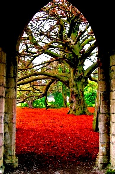 Ancient Arch, Margam, Wales