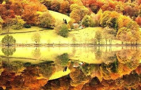Reflections, Grasmere, England