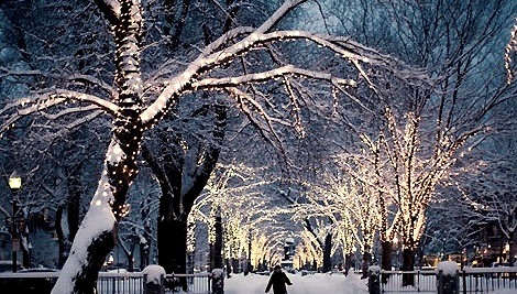 Snowy Night, Chicago, Illinois