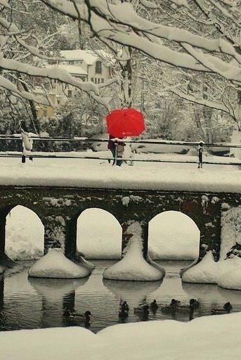 Red Umbrella, Guildford, England