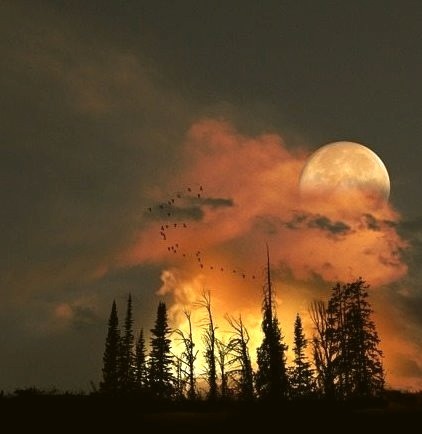 Moon Rise, Colorado