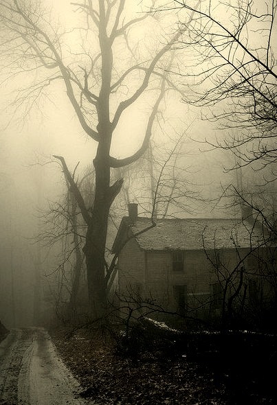Winter Fog, Bluefield, Virginia